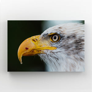 Tableau Aigle Royal | TableauDecoModerne®