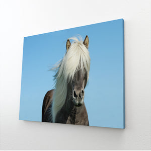 Tableau Cheval Design | TableauDecoModerne®