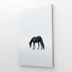 Tableau Cheval Noir et Blanc | TableauDecoModerne®