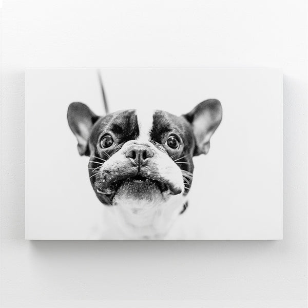 Tableau Chiot | TableauDecoModerne®