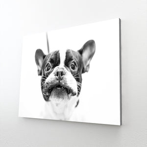 Tableau Chiot | TableauDecoModerne®