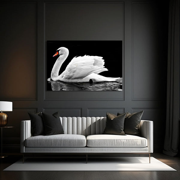 Black and White Swan Painting