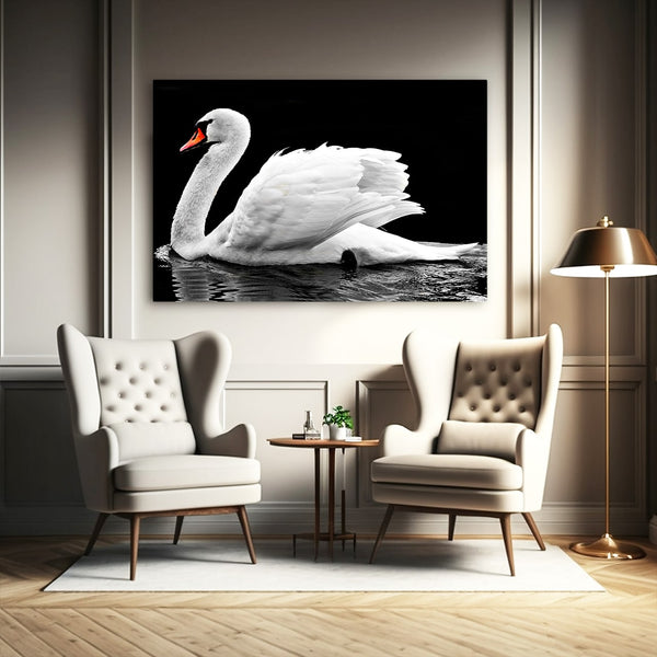 Black and White Swan Painting