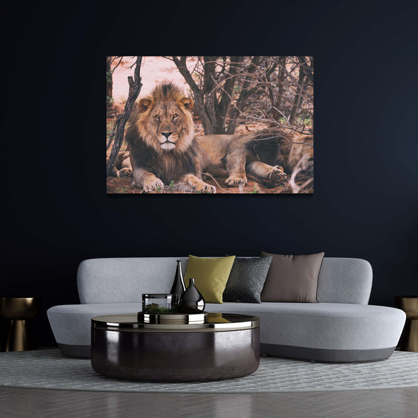 Tableau Deco Lions | TableauDecoModerne®