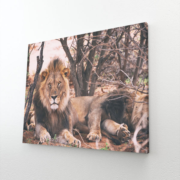 Tableau Deco Lions | TableauDecoModerne®