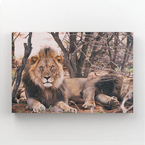 Tableau Deco Lions | TableauDecoModerne®