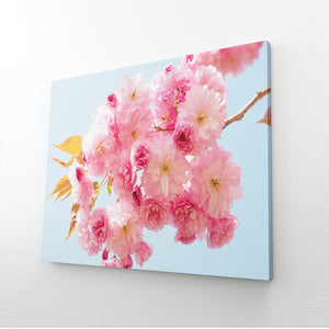 Tableau Fleur de Sakura | TableauDecoModerne®