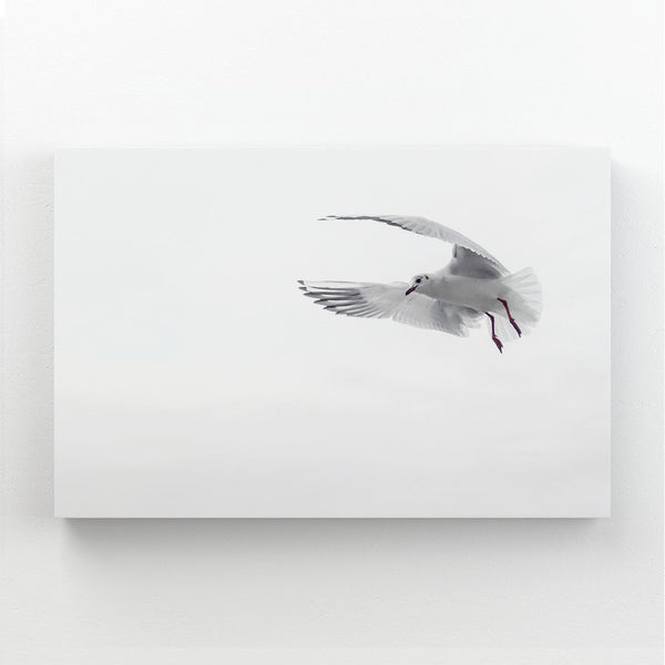 Tableau Mouette | Tableau Déco Moderne