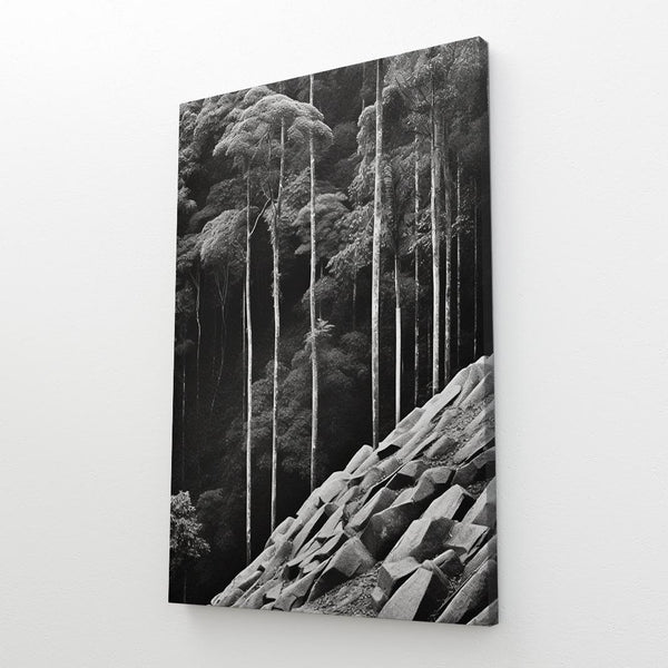 Tableau Nature Noir et Blanc | TableauDecoModerne®