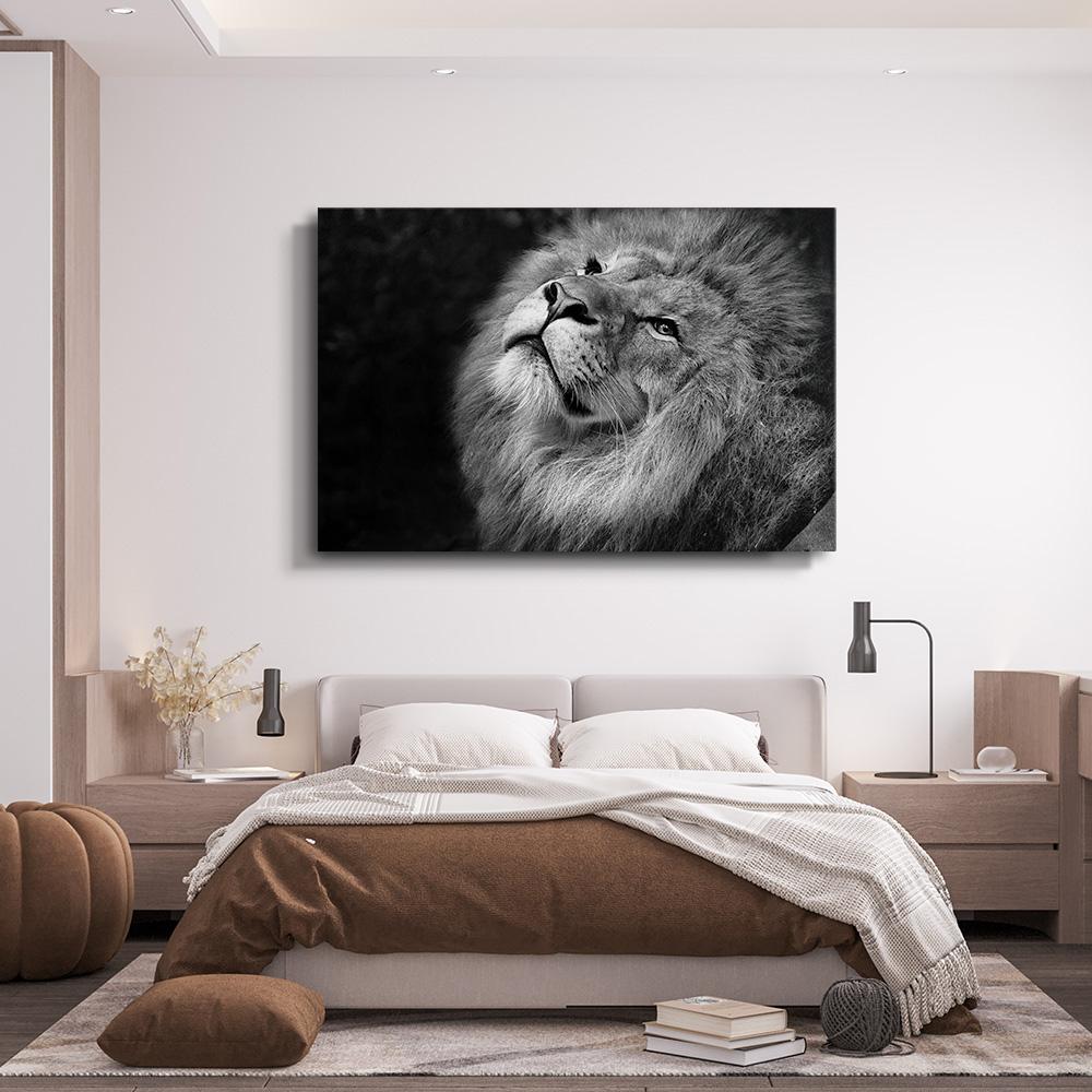 Noir Blanc Animaux Art Lions Peinture mâle Lion Femelle Lion et