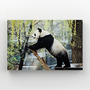 Tableau Panda | TableauDecoModerne®