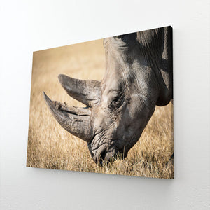 Tableau Rhinocéros Afrique | TableauDecoModerne®