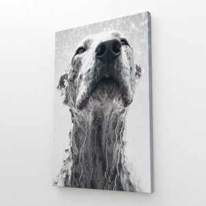 Tableau Tete de Chien | TableauDecoModerne®