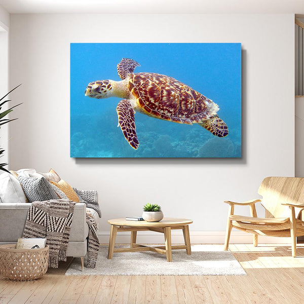 Tableau Tortue