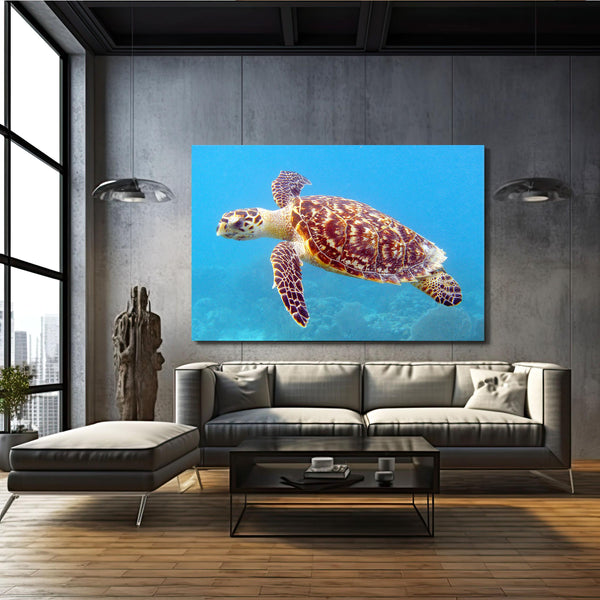 Tableau Tortue