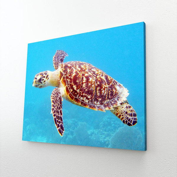 Tableau Tortue