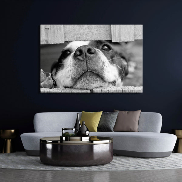 Tableau de Chien Noir et Blanc | TableauDecoModerne®