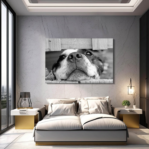 Tableau de Chien Noir et Blanc | TableauDecoModerne®