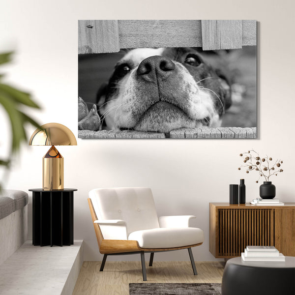 Tableau de Chien Noir et Blanc | TableauDecoModerne®