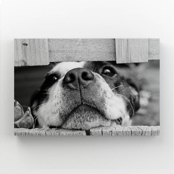 Tableau de Chien Noir et Blanc | TableauDecoModerne®