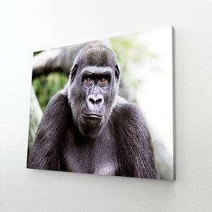 Tableau de Gorille | TableauDecoModerne®