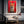 Renard Rouge Tableau Renard | TableauDecoModerne®