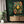 Tableau Dame de Pique Verte | TableauDecoModerne®