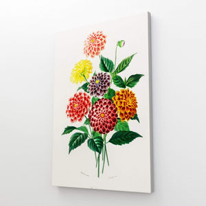 Tableau Fleurs Vintage | TableauDecoModerne®