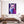 Tableau Lama Pop Art | TableauDecoModerne®