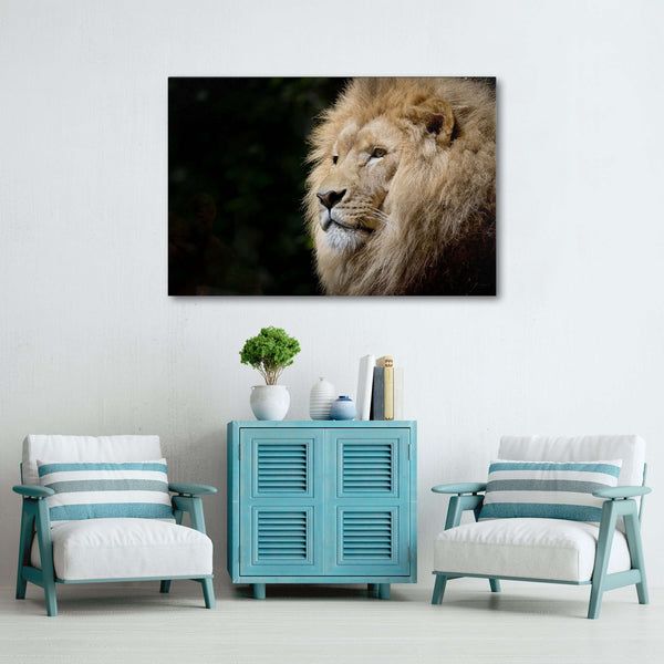 Tableau Lion Afrique | TableauDecoModerne®