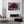Tableau Feuille Echeveria | TableauDecoModerne®