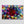Tableau Feuille Echeveria | TableauDecoModerne®